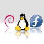 ¿Cuál es la mejor distribución Linux para programar?